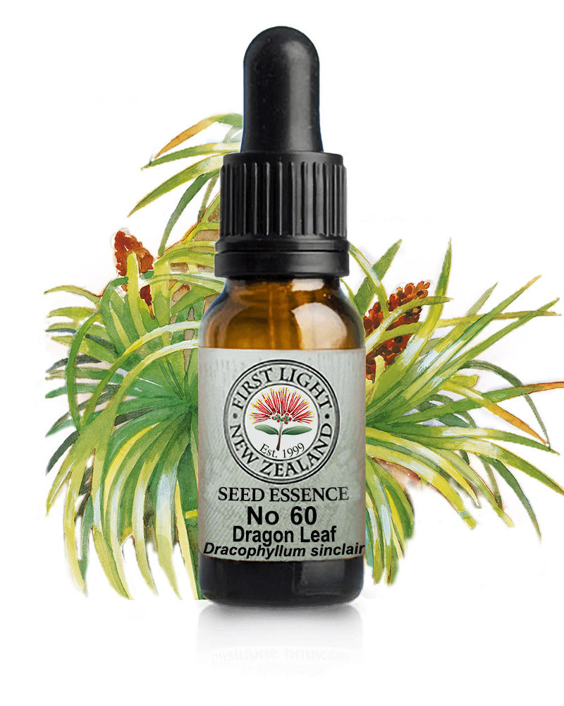 No 60 Dragon Leaf flower essence, 10ml stock oral dropper bottle