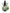 No 61 Mount Cook Lily flower essence, 10ml stock oral dropper bottle
