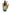 No 62 Raupo flower essence, 10ml stock oral dropper bottle