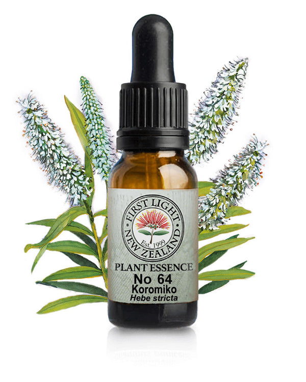 No 64 Koromiko flower essence, 10ml stock oral dropper bottle