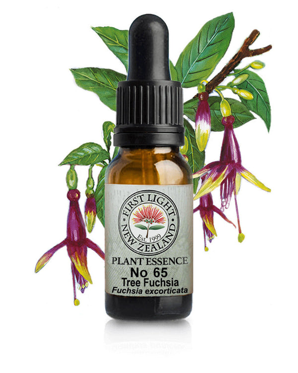 No 65 Tree Fuchsia flower essence, 10ml stock oral dropper bottle