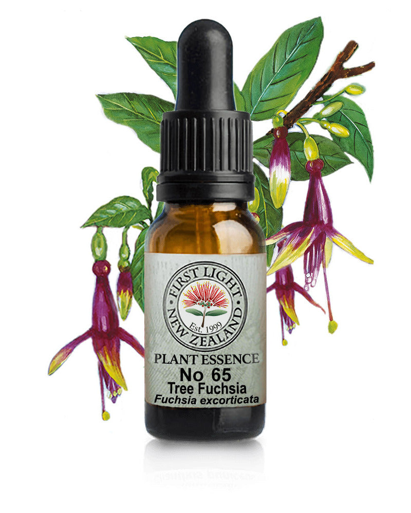 No 65 Tree Fuchsia flower essence, 10ml stock oral dropper bottle