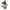 No 6 New Zealand Jasmine flower essence