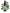 No 71 Coastal Convolvulus flower essence, 10ml stock oral dropper bottle