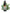 No 72 Shining Spleenwort flower essence, 10ml stock oral dropper bottle