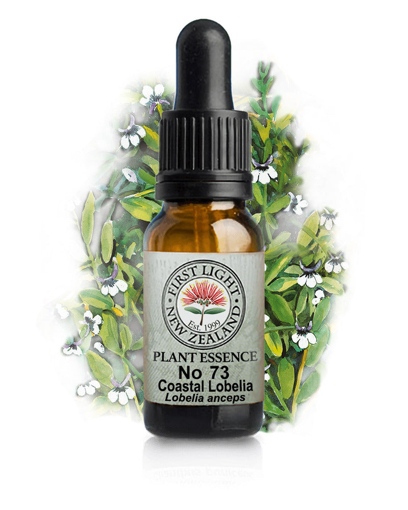 No 73 Coastal Lobelia flower essence, 10ml stock oral dropper bottle