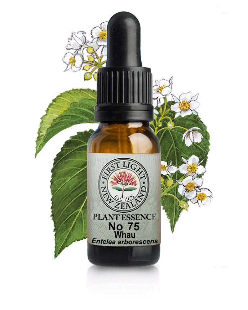 No 75 Whau flower essence, 10ml stock oral dropper bottle