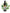 No 76 Native Hawthorn flower essence, 10ml stock oral dropper bottle
