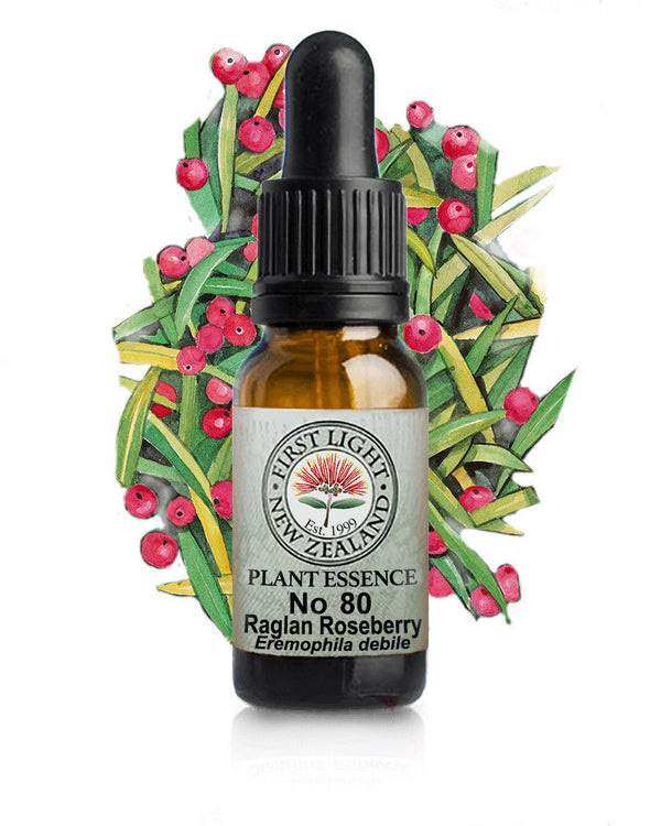 No 80 Raglan Roseberry flower essence, 10ml stock oral dropper bottle