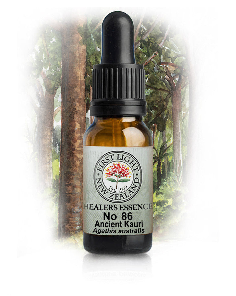 No 86 Ancient Kauri flower essence, 10ml stock oral dropper bottle