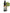 No 88 Wheki flower essence, 10ml stock oral dropper bottle