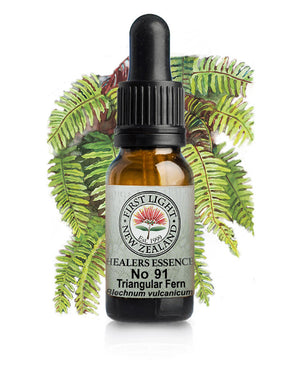 No 91 Triangular Fern