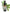 No 94 Five Finger flower essence, 10ml stock oral dropper bottle
