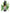 No 96 Sword Fern flower essence, 10ml stock oral dropper bottle