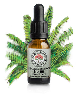 No 96 Sword Fern