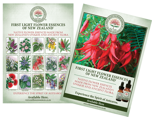 First Light® A2 Poster Pair