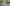 Video alt text