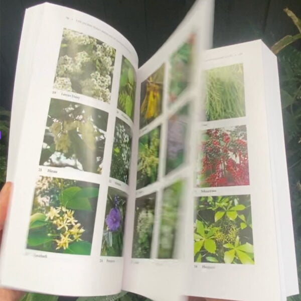 The Sacred Plant Medicine of Aotearoa Volume 1