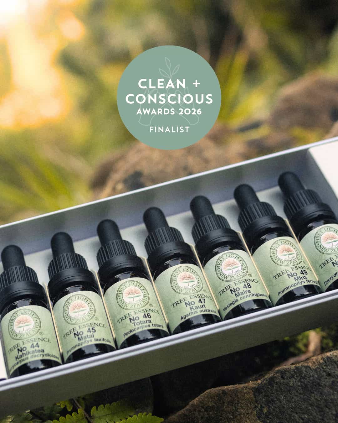 First Light® Tree Essence Collection Announced as a Finalist in the 2026 Clean + Conscious Awards