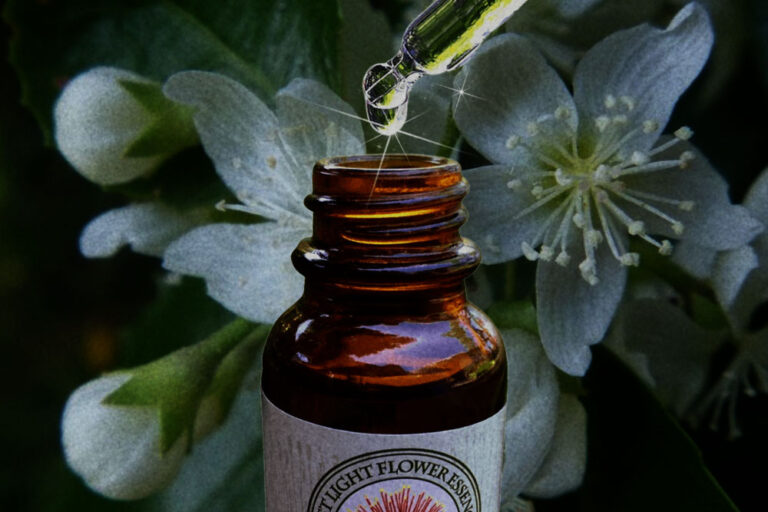 Phillippa Bell First Light Flower Essences of New Zealand®