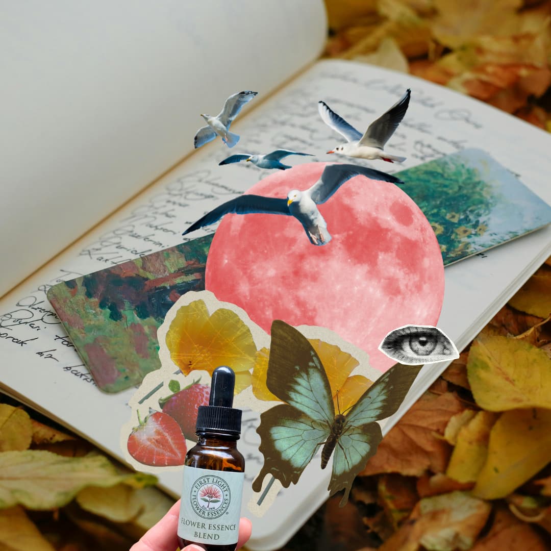 Journaling with Flower Essences for Inner Healing and Growth