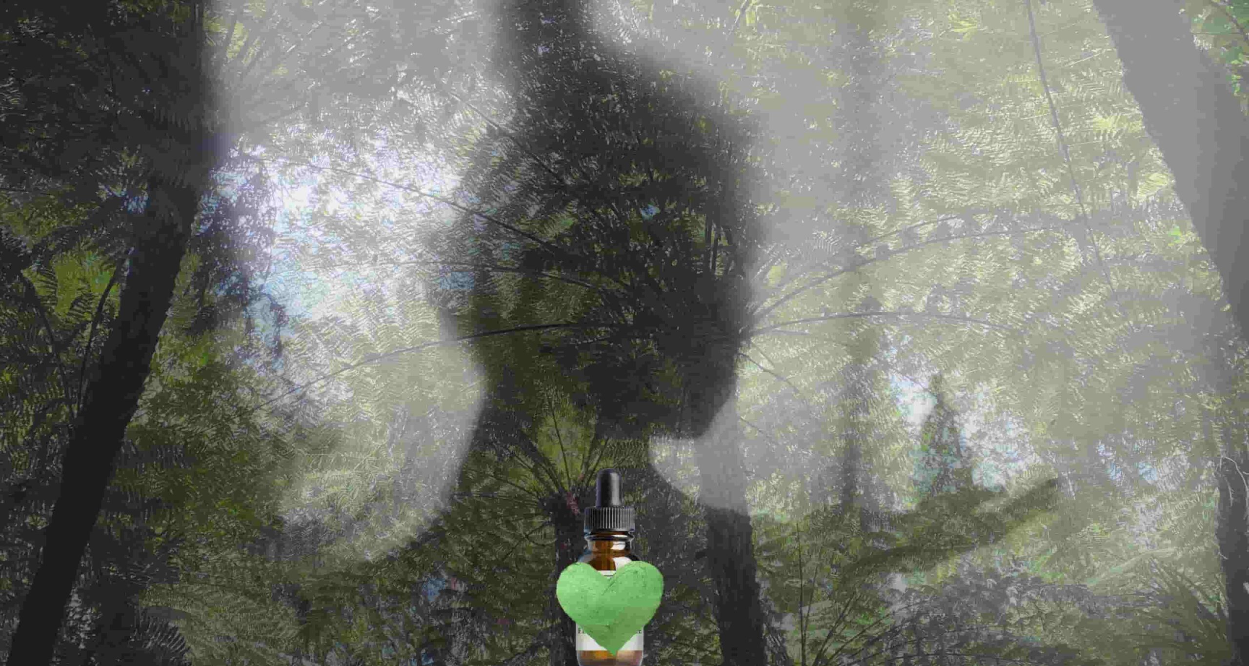 Inner healer